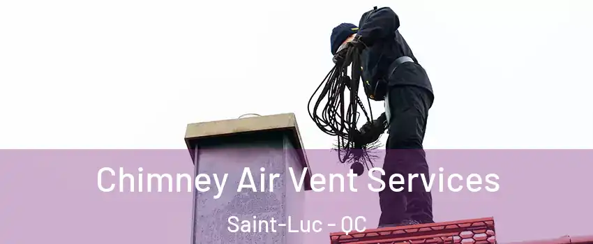  Chimney Air Vent Services Saint-Luc - QC