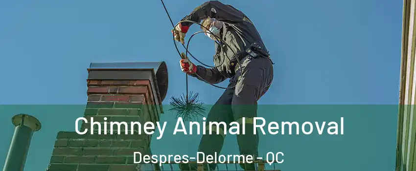 Chimney Animal Removal Despres-Delorme - QC