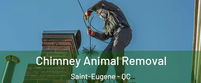 Chimney Animal Removal Saint-Eugene - QC