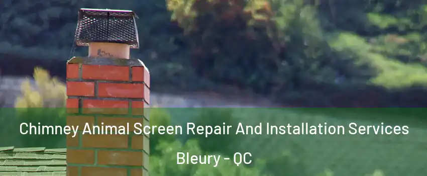  Chimney Animal Screen Repair And Installation Services Bleury - QC