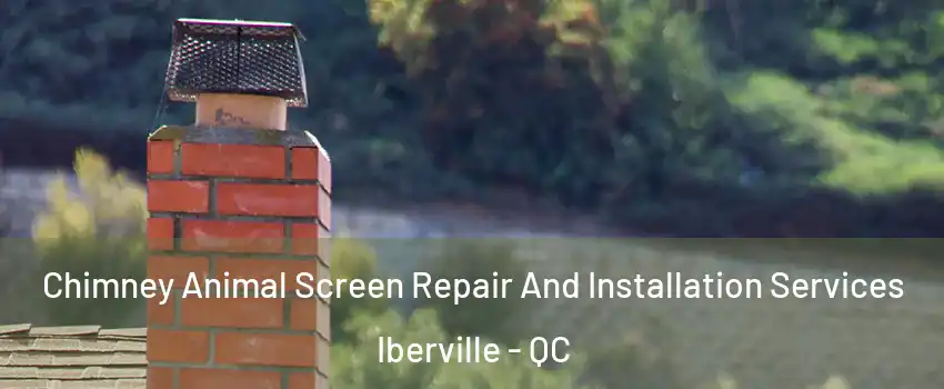  Chimney Animal Screen Repair And Installation Services Iberville - QC