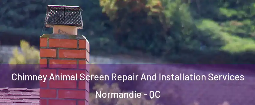  Chimney Animal Screen Repair And Installation Services Normandie - QC