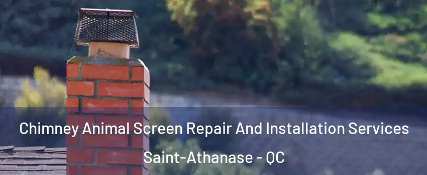  Chimney Animal Screen Repair And Installation Services Saint-Athanase - QC