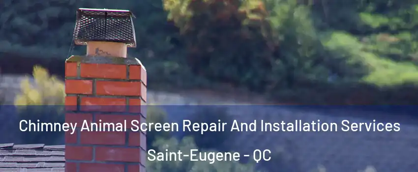  Chimney Animal Screen Repair And Installation Services Saint-Eugene - QC