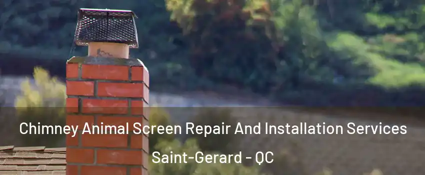 Chimney Animal Screen Repair And Installation Services Saint-Gerard - QC