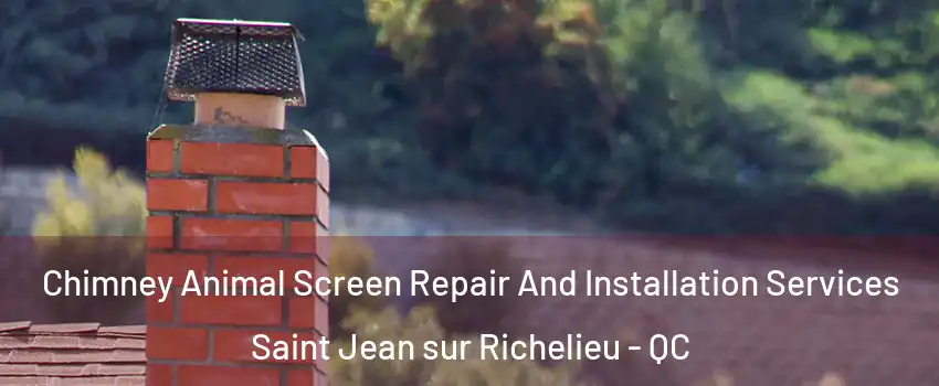  Chimney Animal Screen Repair And Installation Services Saint Jean sur Richelieu - QC