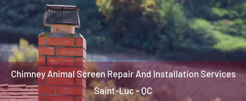  Chimney Animal Screen Repair And Installation Services Saint-Luc - QC