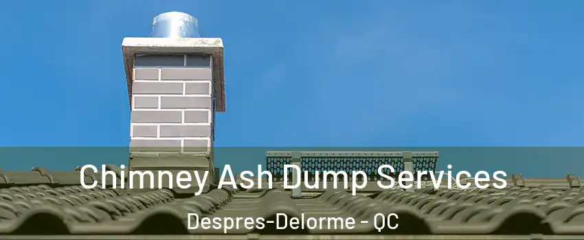  Chimney Ash Dump Services Despres-Delorme - QC