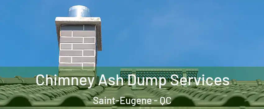 Chimney Ash Dump Services Saint-Eugene - QC