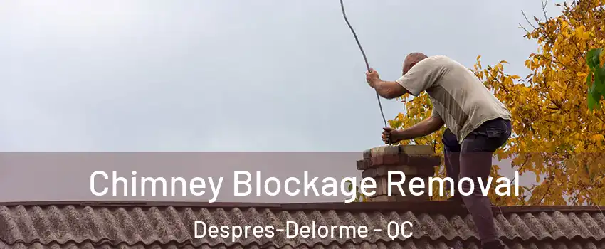  Chimney Blockage Removal Despres-Delorme - QC
