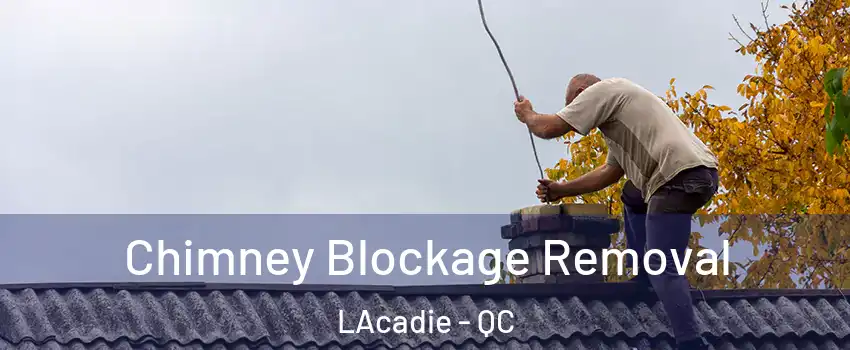 Chimney Blockage Removal LAcadie - QC