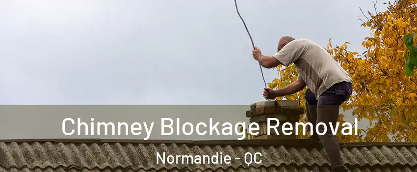  Chimney Blockage Removal Normandie - QC