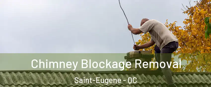  Chimney Blockage Removal Saint-Eugene - QC