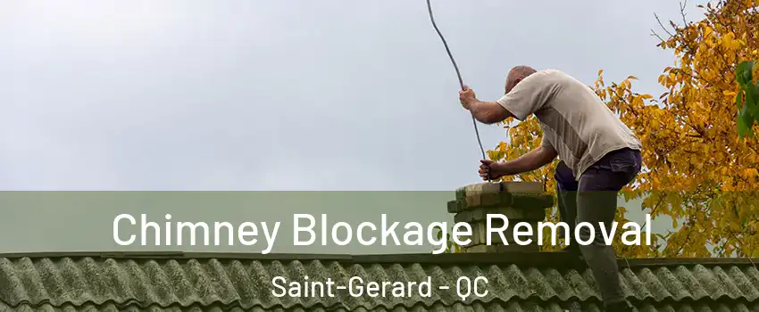  Chimney Blockage Removal Saint-Gerard - QC