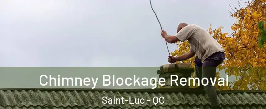  Chimney Blockage Removal Saint-Luc - QC