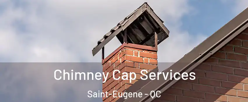  Chimney Cap Services Saint-Eugene - QC