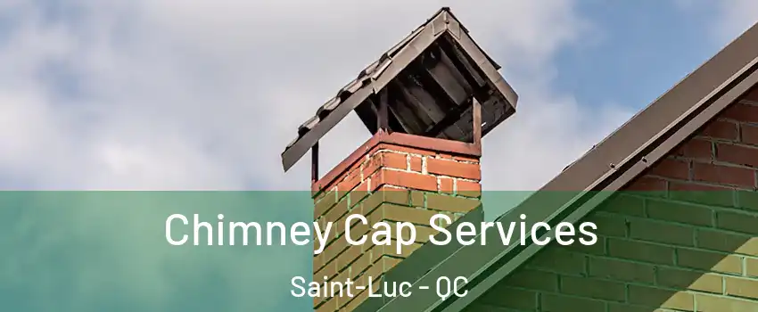  Chimney Cap Services Saint-Luc - QC