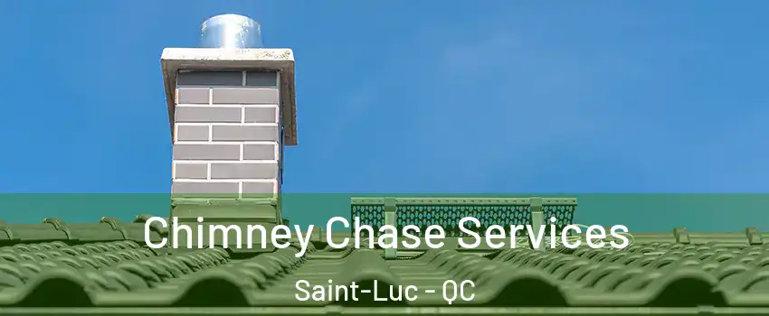  Chimney Chase Services Saint-Luc - QC