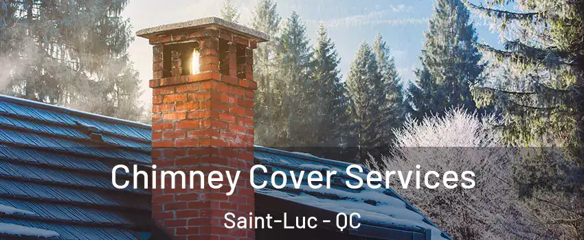 Chimney Cover Services Saint-Luc - QC