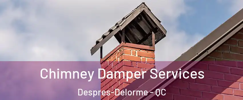  Chimney Damper Services Despres-Delorme - QC