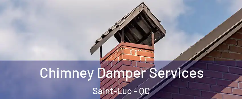  Chimney Damper Services Saint-Luc - QC