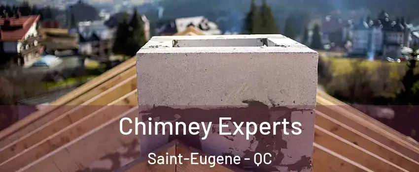 Chimney Experts Saint-Eugene - QC
