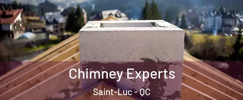 Chimney Experts Saint-Luc - QC
