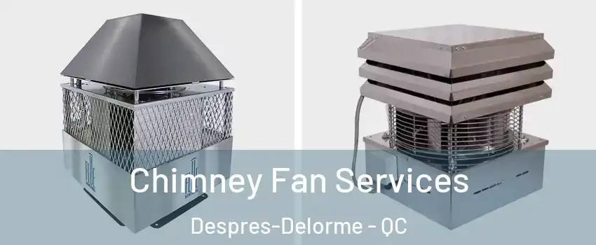  Chimney Fan Services Despres-Delorme - QC