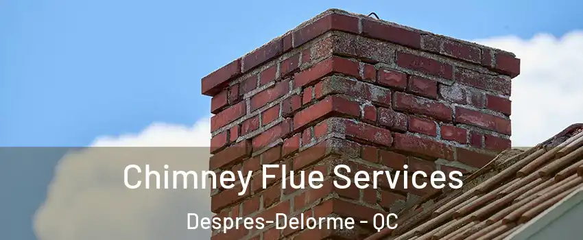  Chimney Flue Services Despres-Delorme - QC