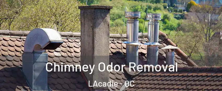  Chimney Odor Removal LAcadie - QC
