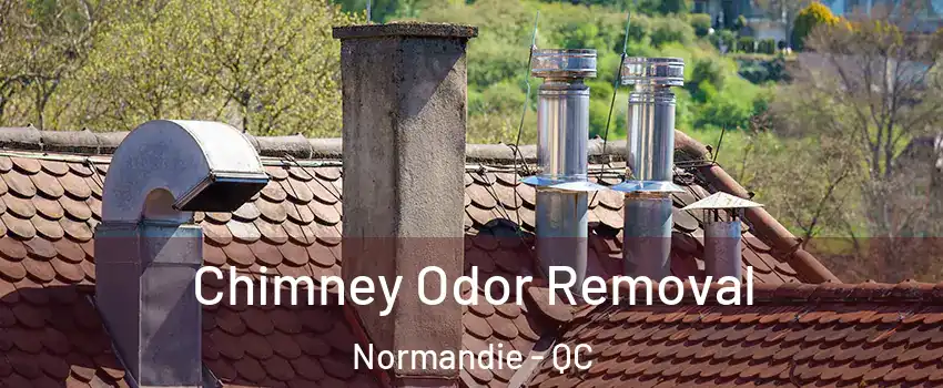  Chimney Odor Removal Normandie - QC