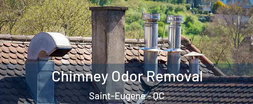  Chimney Odor Removal Saint-Eugene - QC