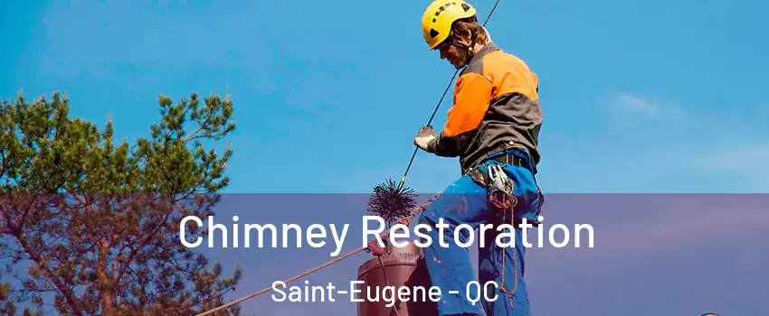  Chimney Restoration Saint-Eugene - QC