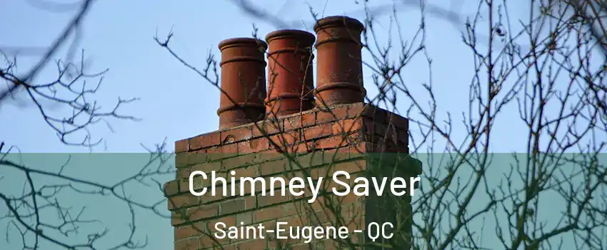  Chimney Saver Saint-Eugene - QC