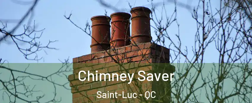  Chimney Saver Saint-Luc - QC