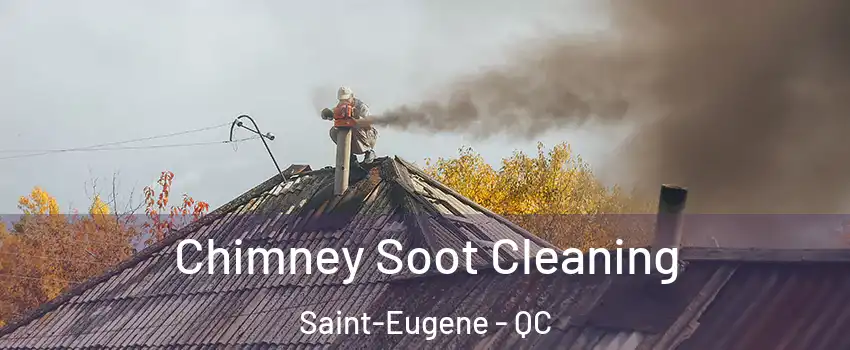  Chimney Soot Cleaning Saint-Eugene - QC