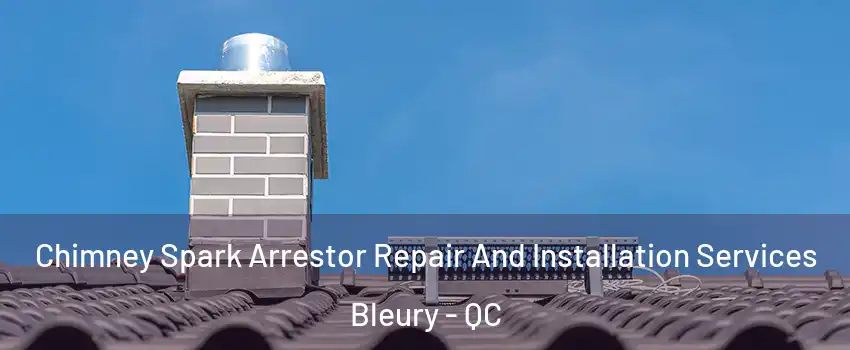  Chimney Spark Arrestor Repair And Installation Services Bleury - QC