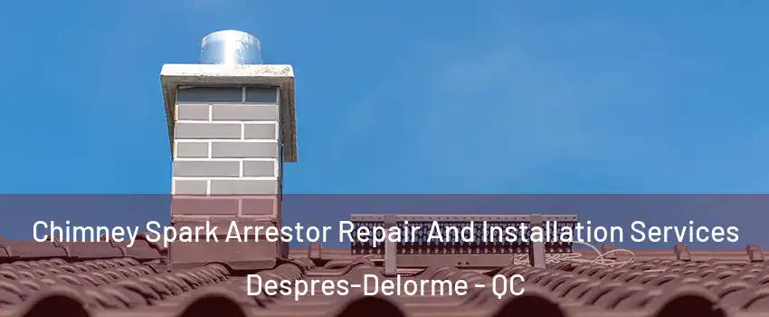  Chimney Spark Arrestor Repair And Installation Services Despres-Delorme - QC