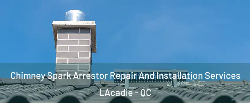  Chimney Spark Arrestor Repair And Installation Services LAcadie - QC