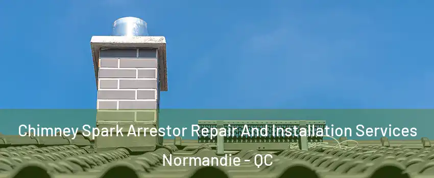  Chimney Spark Arrestor Repair And Installation Services Normandie - QC
