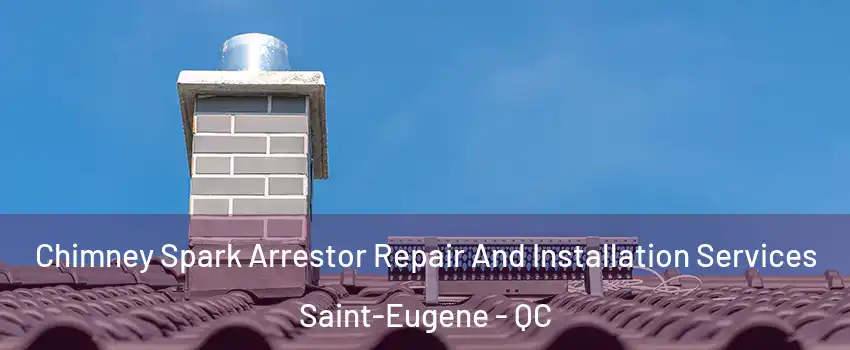  Chimney Spark Arrestor Repair And Installation Services Saint-Eugene - QC