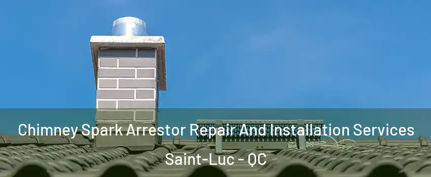  Chimney Spark Arrestor Repair And Installation Services Saint-Luc - QC