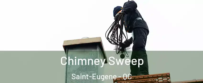 Chimney Sweep Saint-Eugene - QC