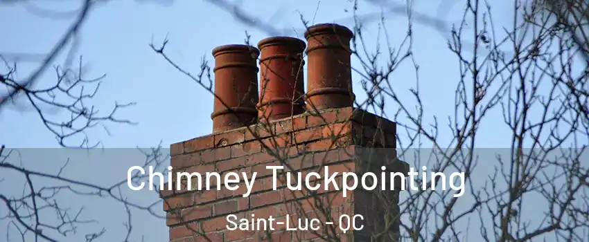  Chimney Tuckpointing Saint-Luc - QC