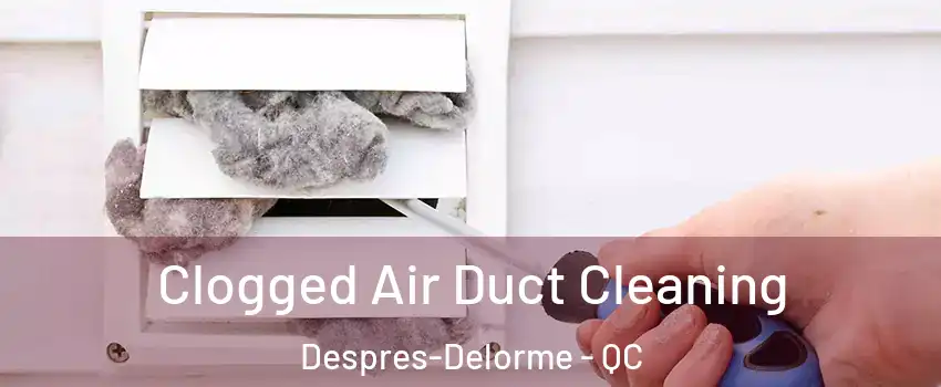 Clogged Air Duct Cleaning Despres-Delorme - QC