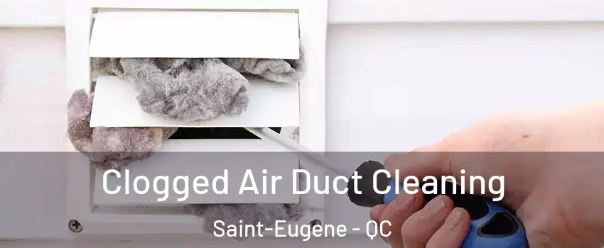 Clogged Air Duct Cleaning Saint-Eugene - QC