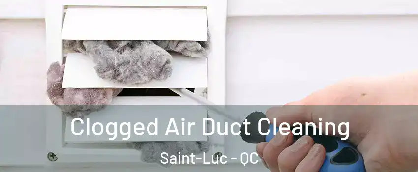  Clogged Air Duct Cleaning Saint-Luc - QC