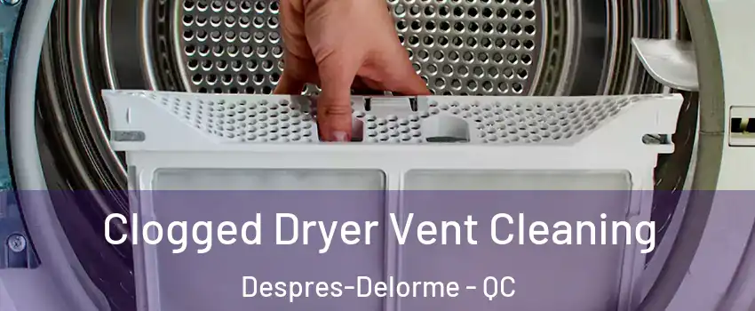  Clogged Dryer Vent Cleaning Despres-Delorme - QC