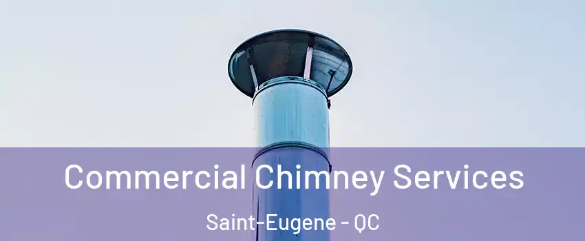  Commercial Chimney Services Saint-Eugene - QC