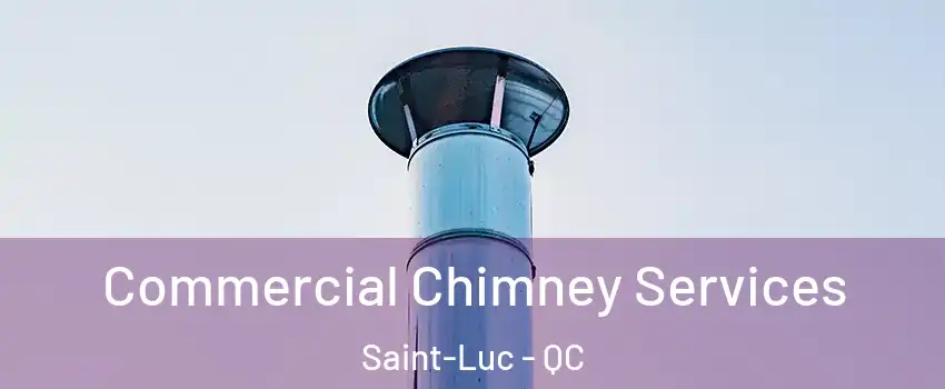  Commercial Chimney Services Saint-Luc - QC